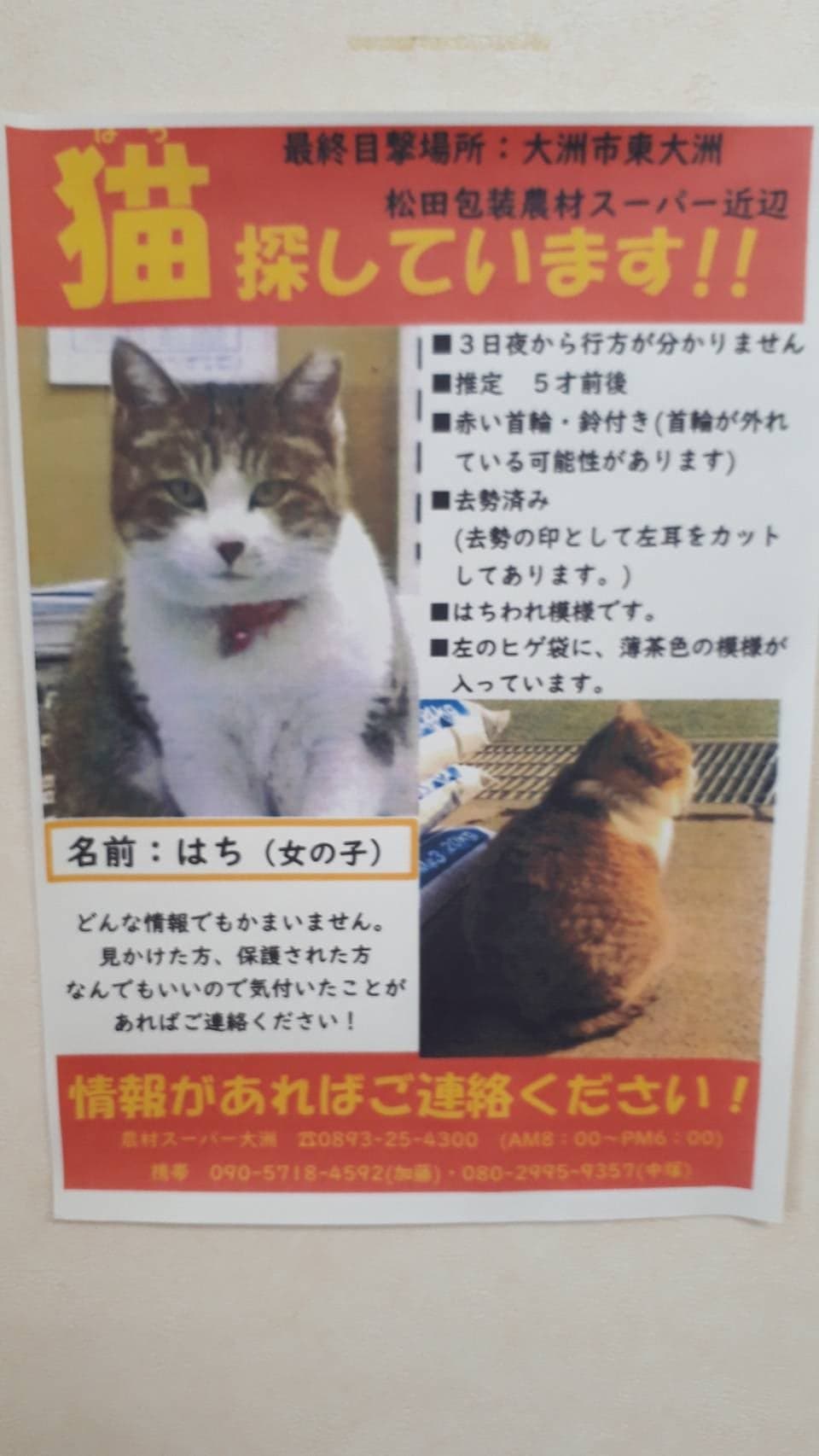 動物 病院 里親 募集